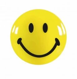 Smiley-Magnete Ca.30mm, 6 Stück