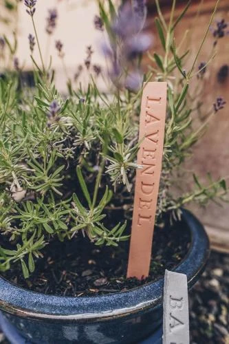 Modelliermasse Efaplast, 1000 G Terrakotta Lufth. – Bild 3