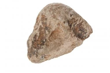 Speckstein Stückig, 25 Kg (unverbindlich Sortiert) – Bild 4