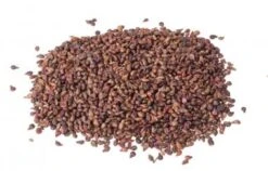 Traubenkerne, 1000 G