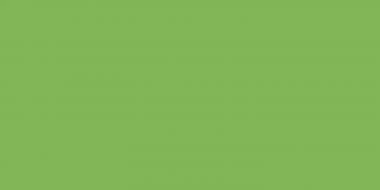 Tonkarton, 25 Bogen Hellgrün (50 X 70 Cm) – Bild 2