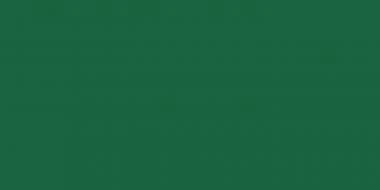 Tonkarton, 25 Bogen Tannengrün (50 X 70 Cm) – Bild 2