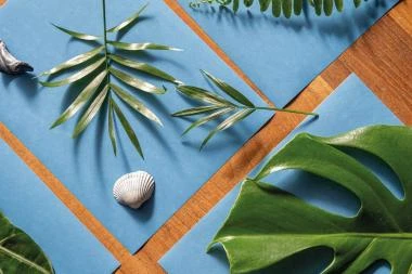 Solar - Fotopapier 20 Blatt – Bild 6