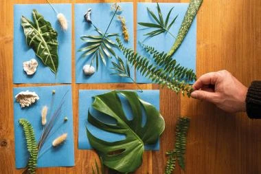 Solar - Fotopapier 20 Blatt – Bild 3